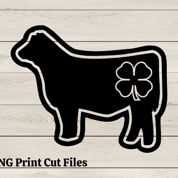 4H Steer with Clover SVG for decals, 4H Steer Showmanship svg for t-shirt, 4H Cow Show PNG, County fair Steer Cow show SVG,