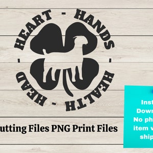 4H Clover SVG for Decals, 4H Goat Showmanship Svg for T-shirt, 4H Dairy ...
