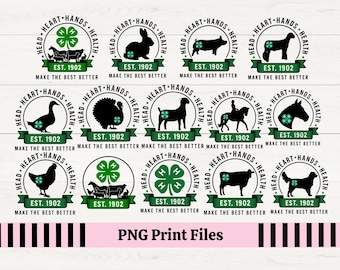 4H Presentazione del bestiame PNG, Clipart della fiera di contea (Download digitale)