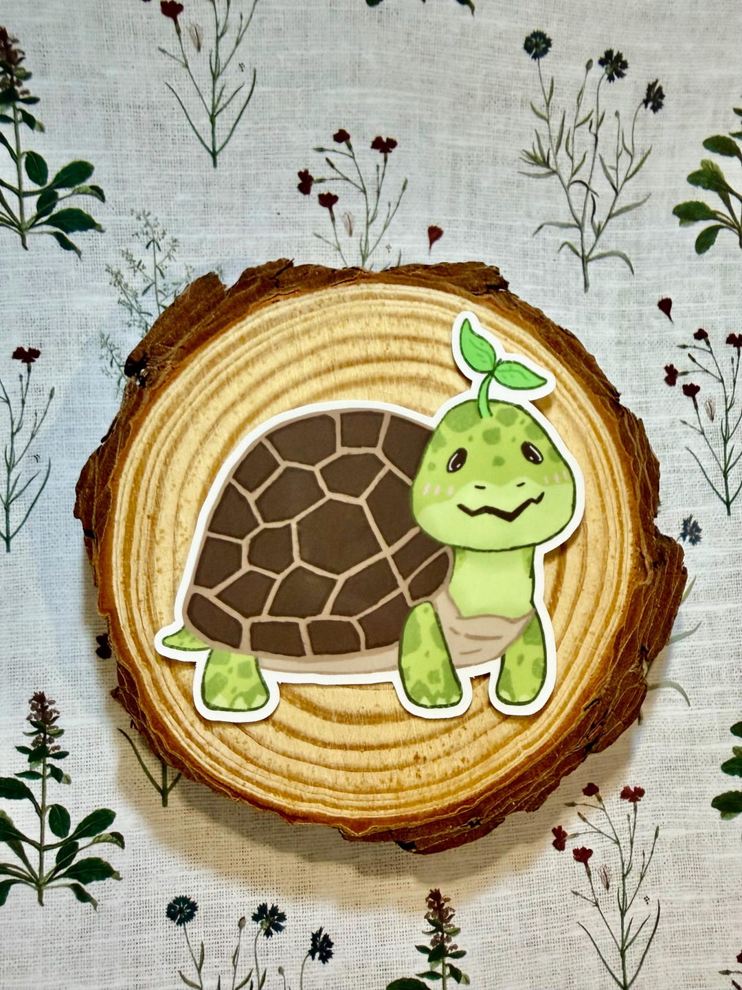 Tortoise Sticker | Cute Turtle Sticker, Turtle Stickers - Etsy