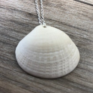 White Clam Necklace