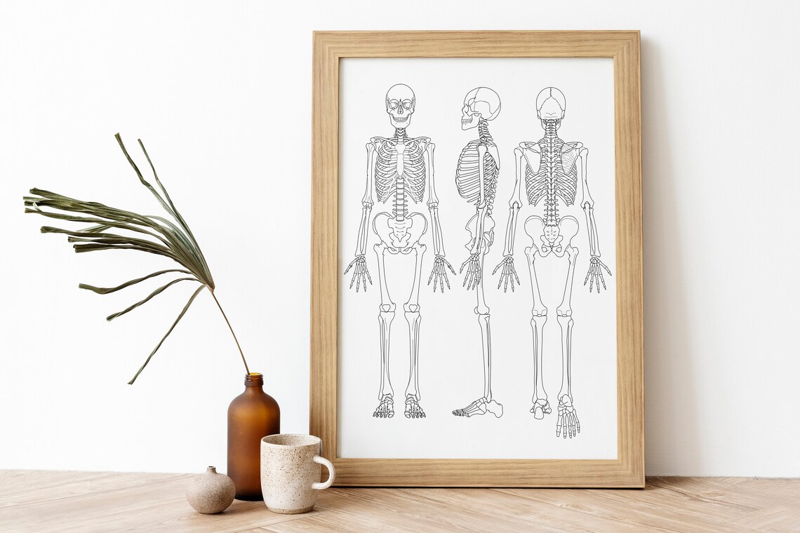 Printable Human Anatomy Poster Anatomy Wall Art Skeleton | Etsy