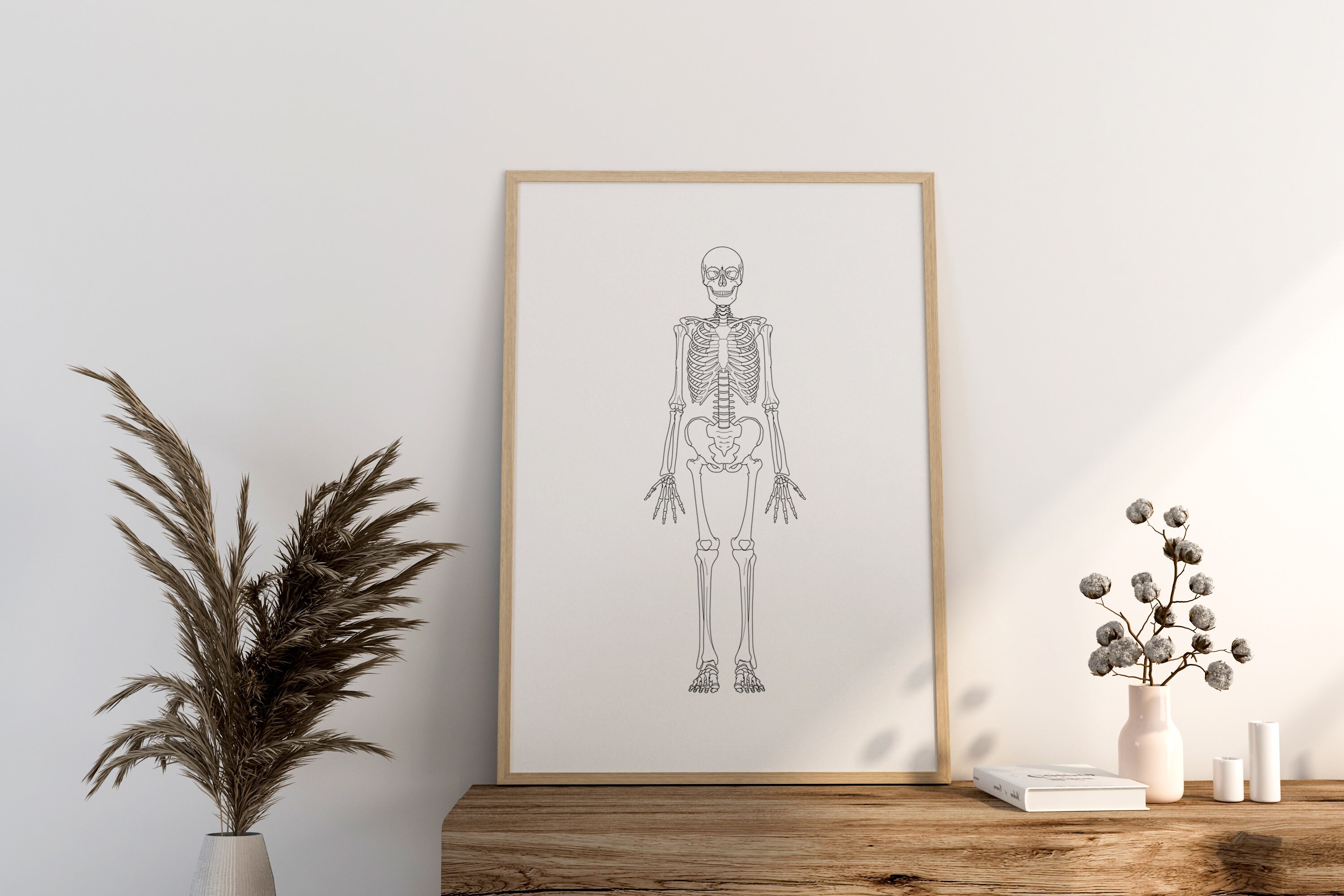 Printable, Human Anatomy Poster, Anatomy Wall Art, Skeleton Print ...