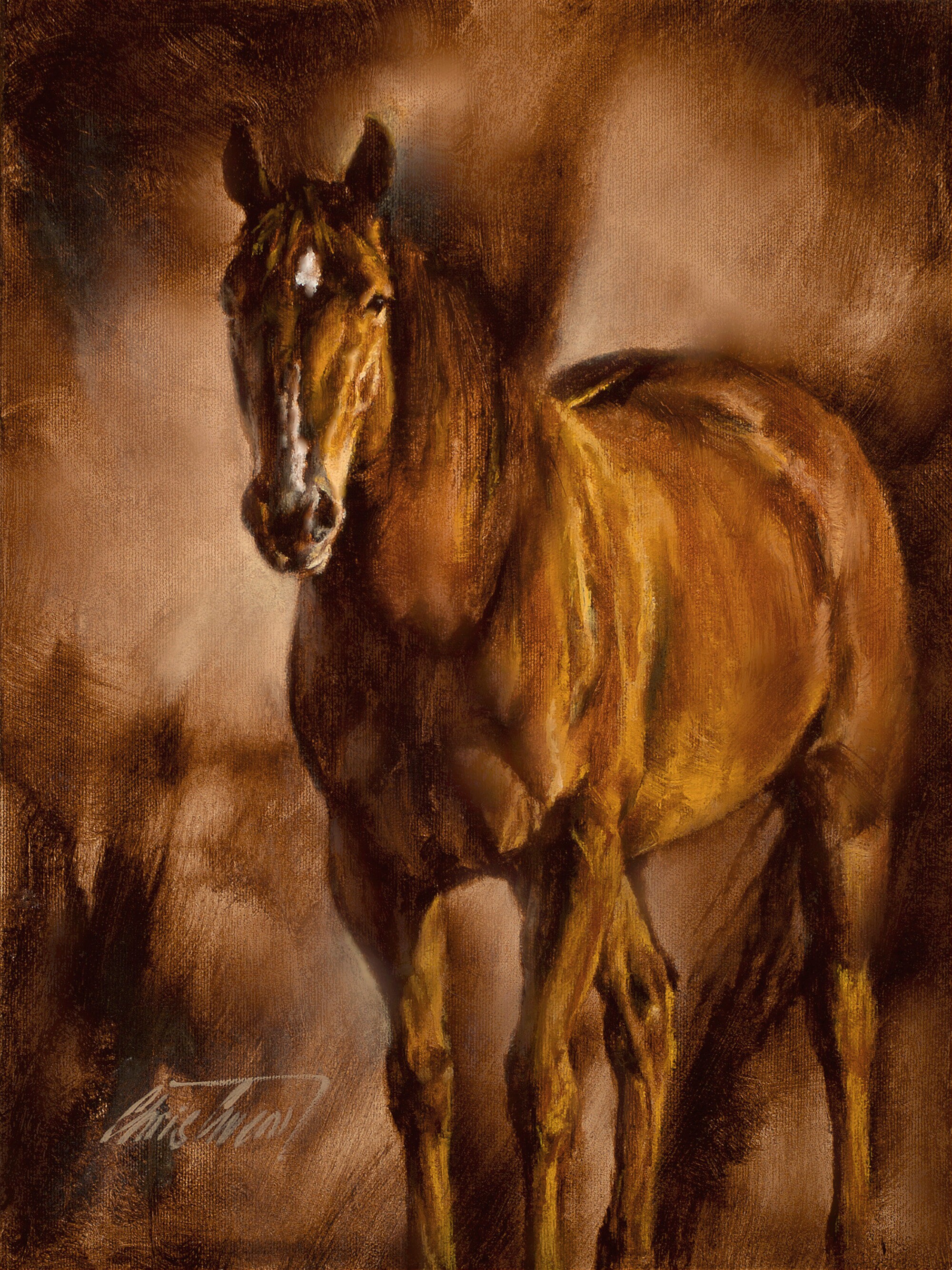 Contentment - Western