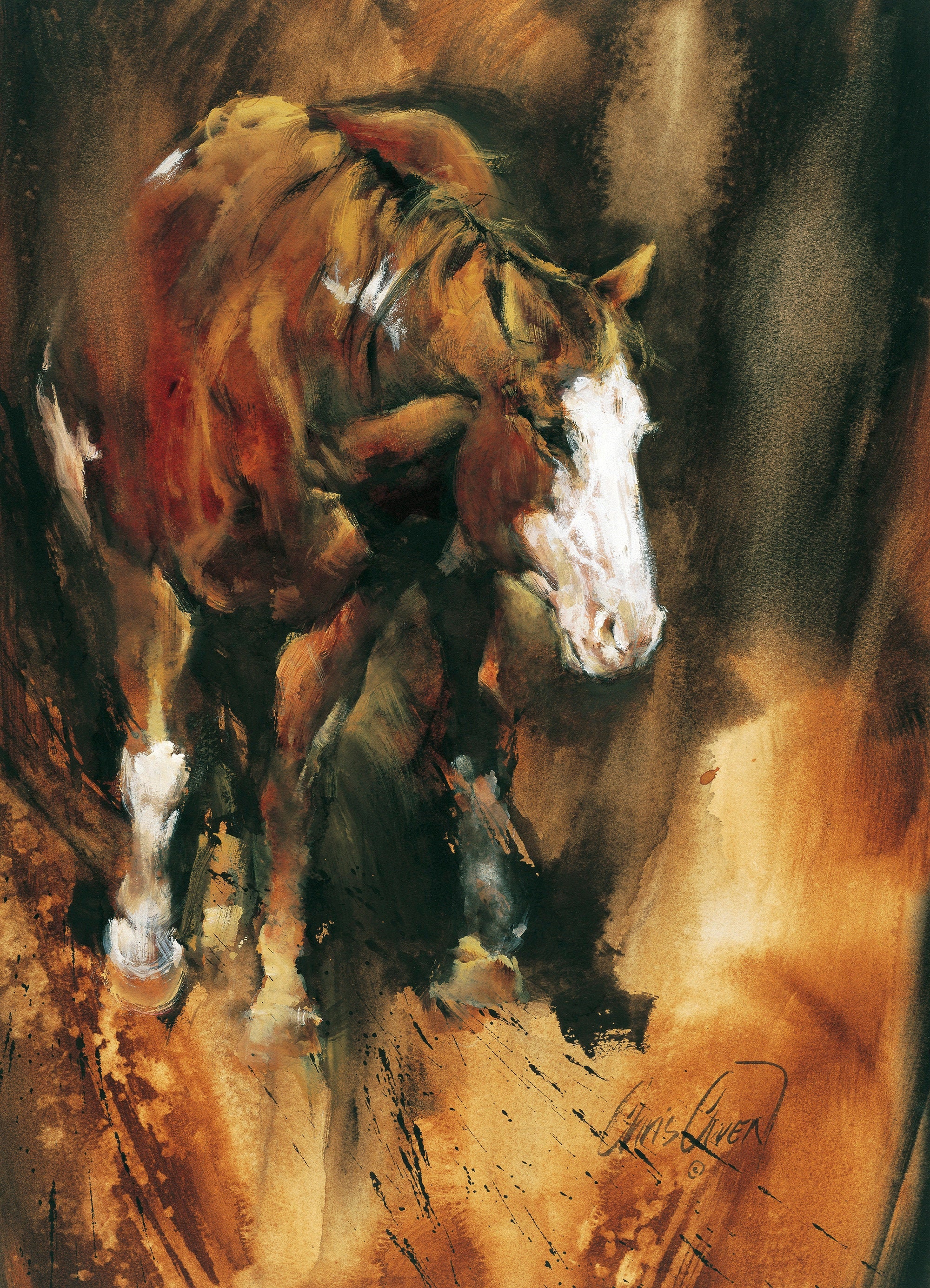 The Mare - Western Décor