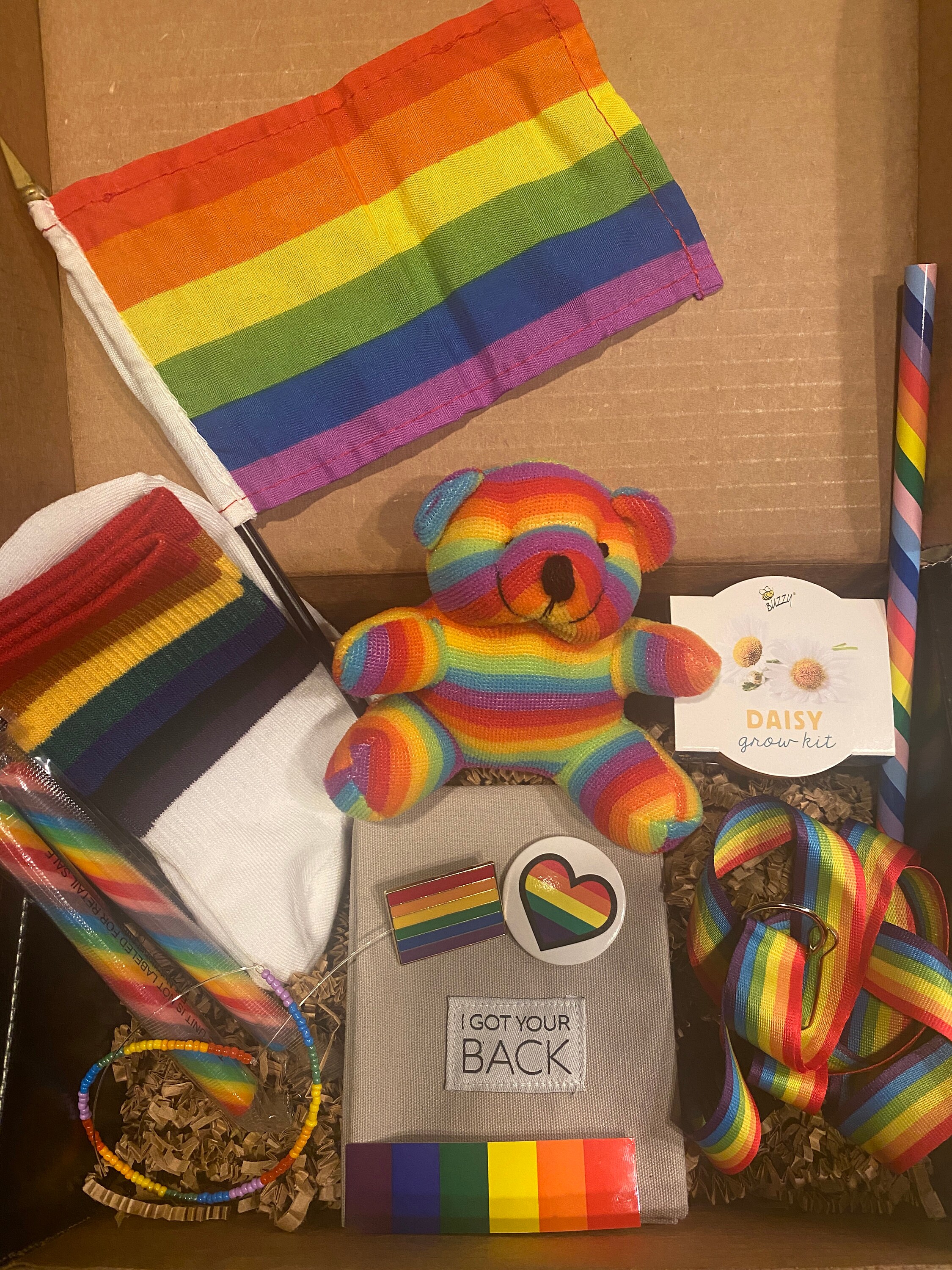 Gay Pride Box Etsy