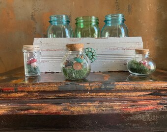 Toadstool Glass Jars