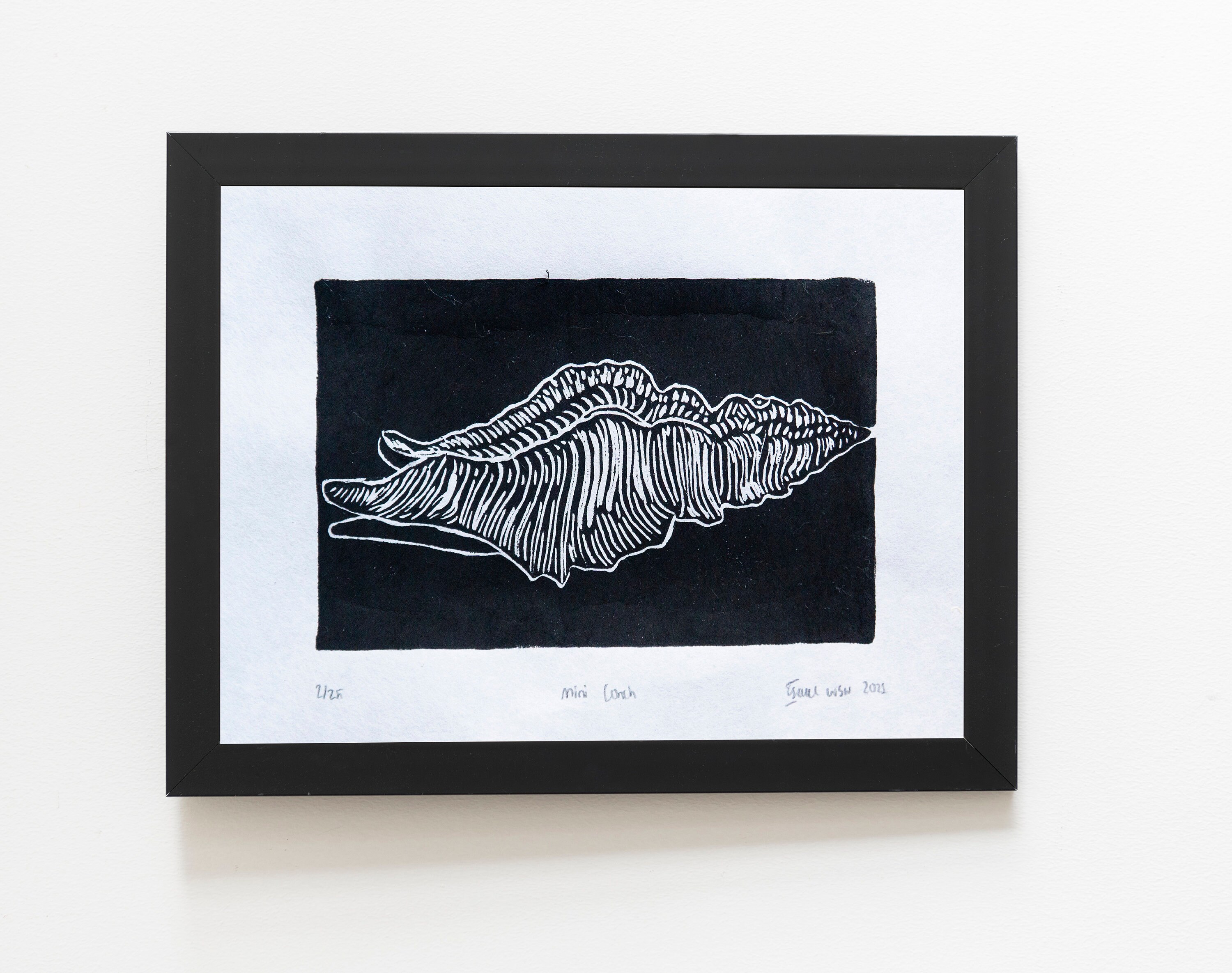 Linocut Conch Shell Mini Conch - Linocut Print - Etsy