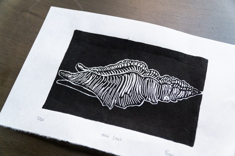 Linocut Conch Shell Mini Conch Linocut Print - Etsy