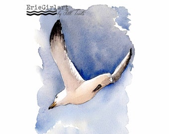 Seagull watercolor painting | Seabird watercolor painting | coastal painting | coastal art | seagull