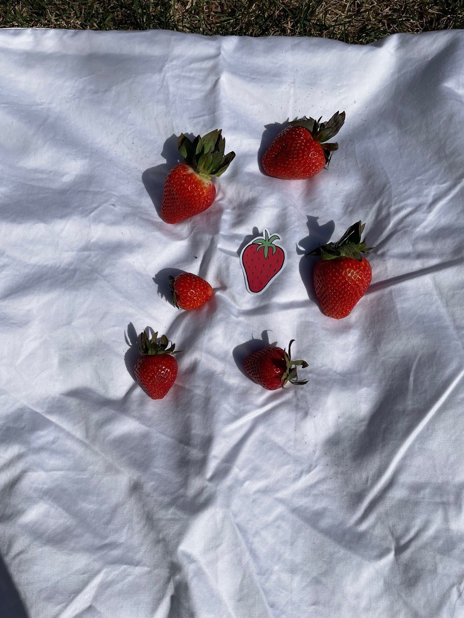 Strawberry 8 Piece Sticker Pack Summer vibes Aesthetic | Etsy