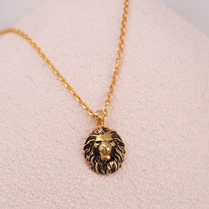 14K Gold Filled Minimalist Lion Pendant, Simple Tiny Leo Necklace, Gift for Her, XW152 image 5