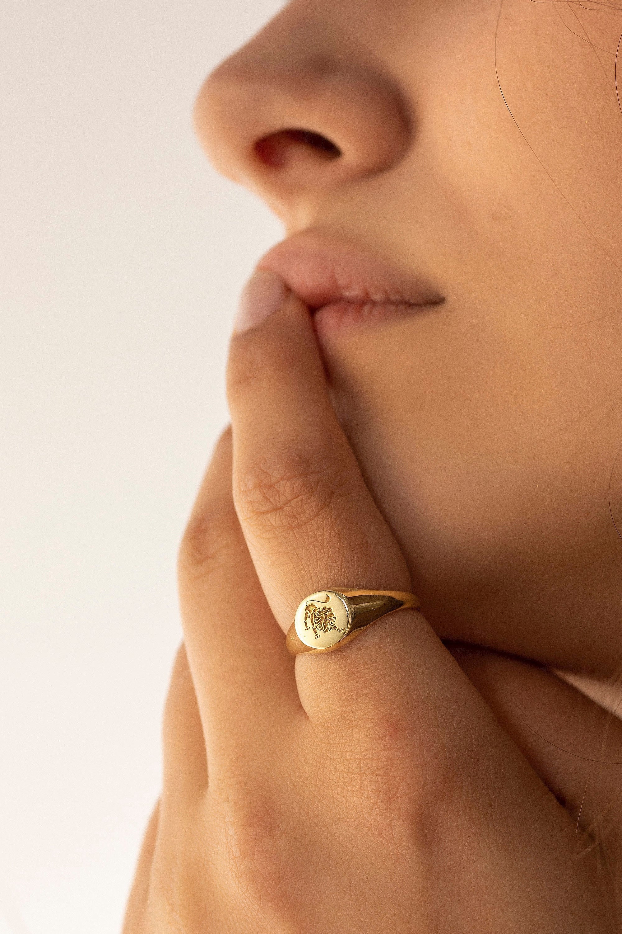 Zodiac Ring, Zodiac Signet Ring, Gold Signet Ring, Astrology Ring, Ho…