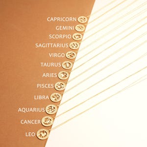 14K Gold Filled Zodiac Münze Leo Halskette, Astrologie Schmuck, Geburtstagsgeschenk, XW193 Bild 3