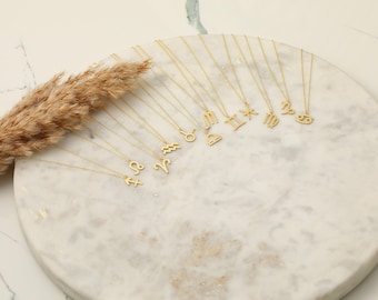 Sterling Silver Zodiac Necklace, Personalized Astrology Gift, XW32