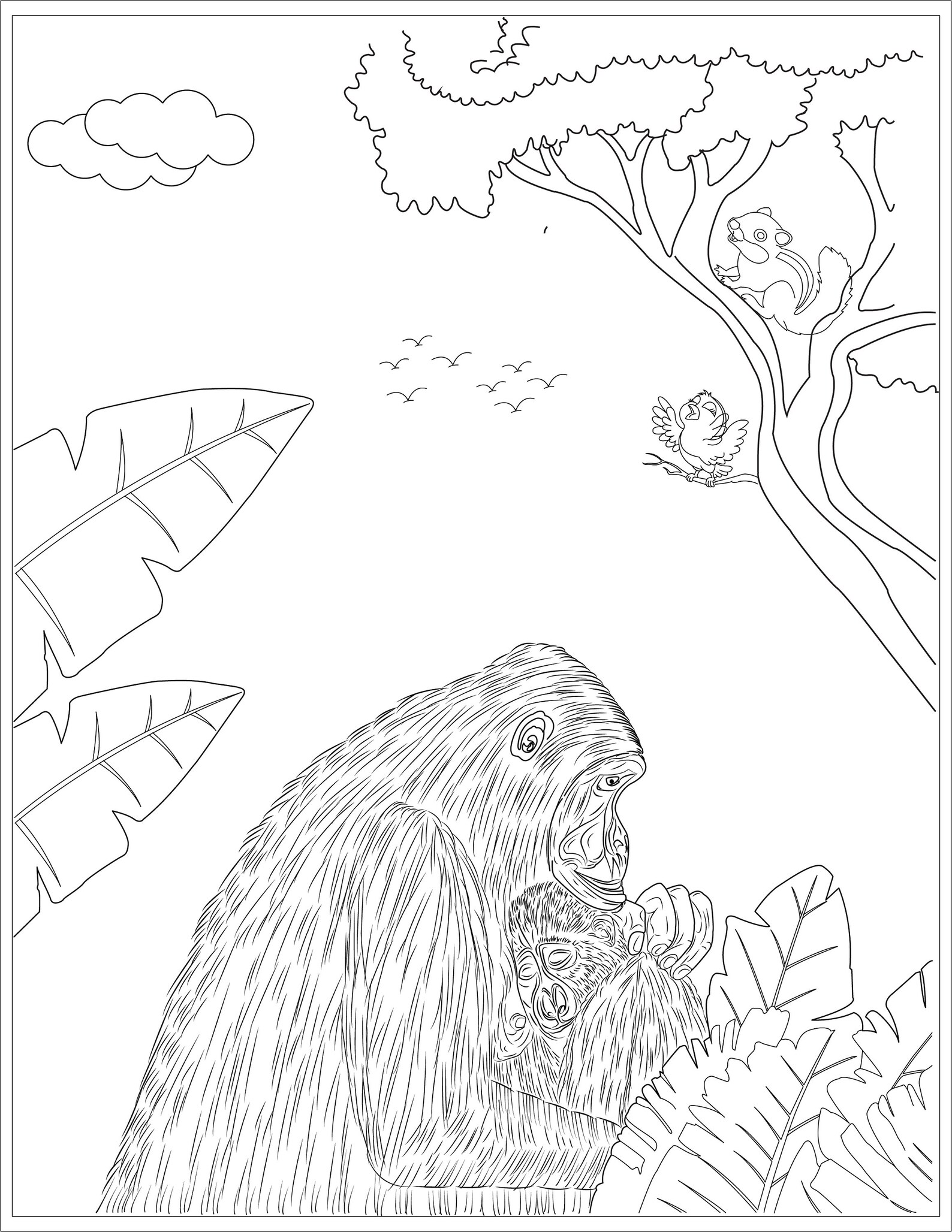 Children's Animal Coloring Book - Etsy