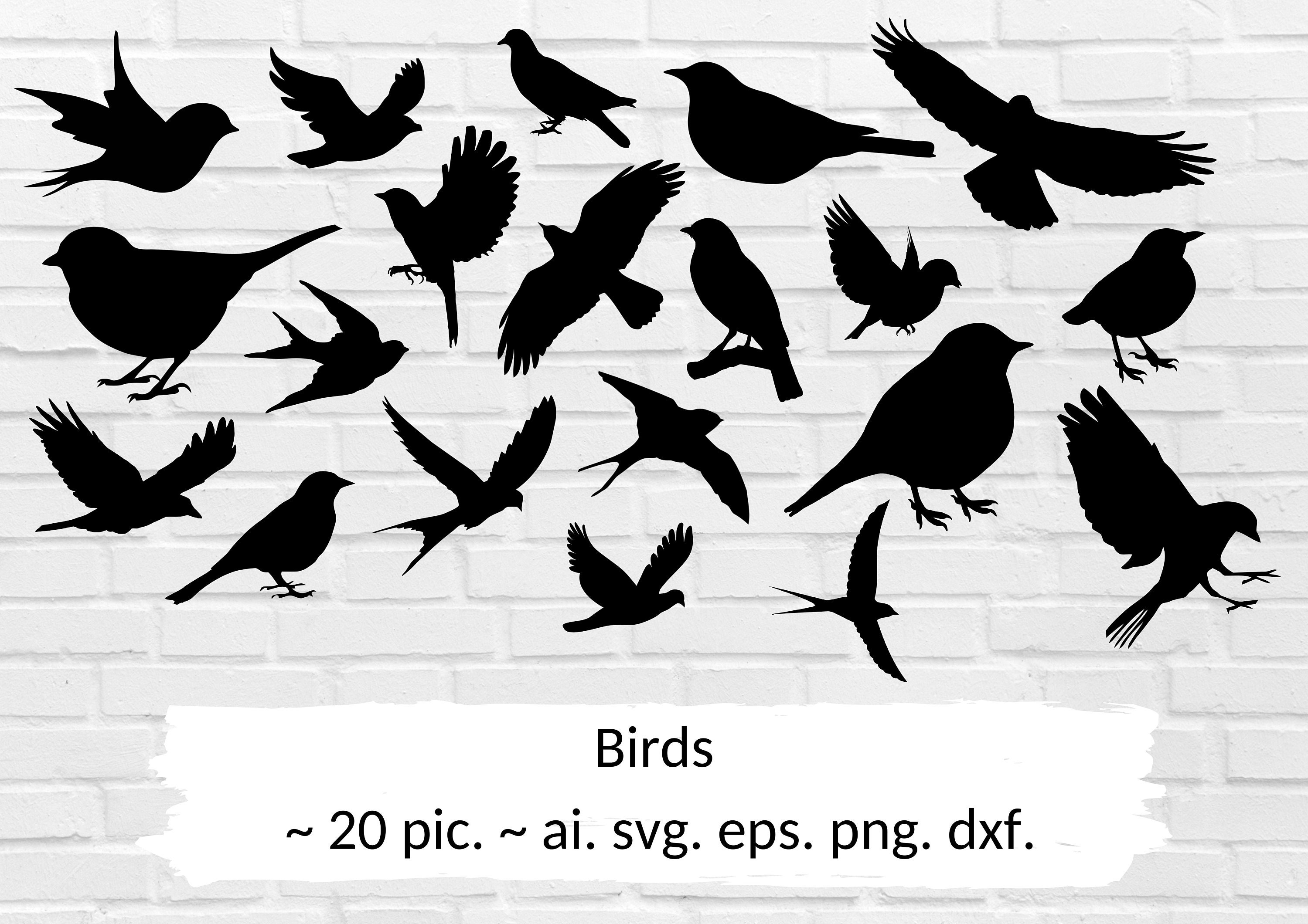 Bird birds birds for printing black and white birds bird Etsy