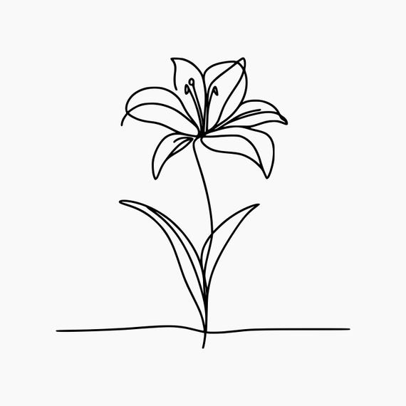 Lily Line Drawing. Svg Png Eps Dxf Cut Files. - Etsy Canada