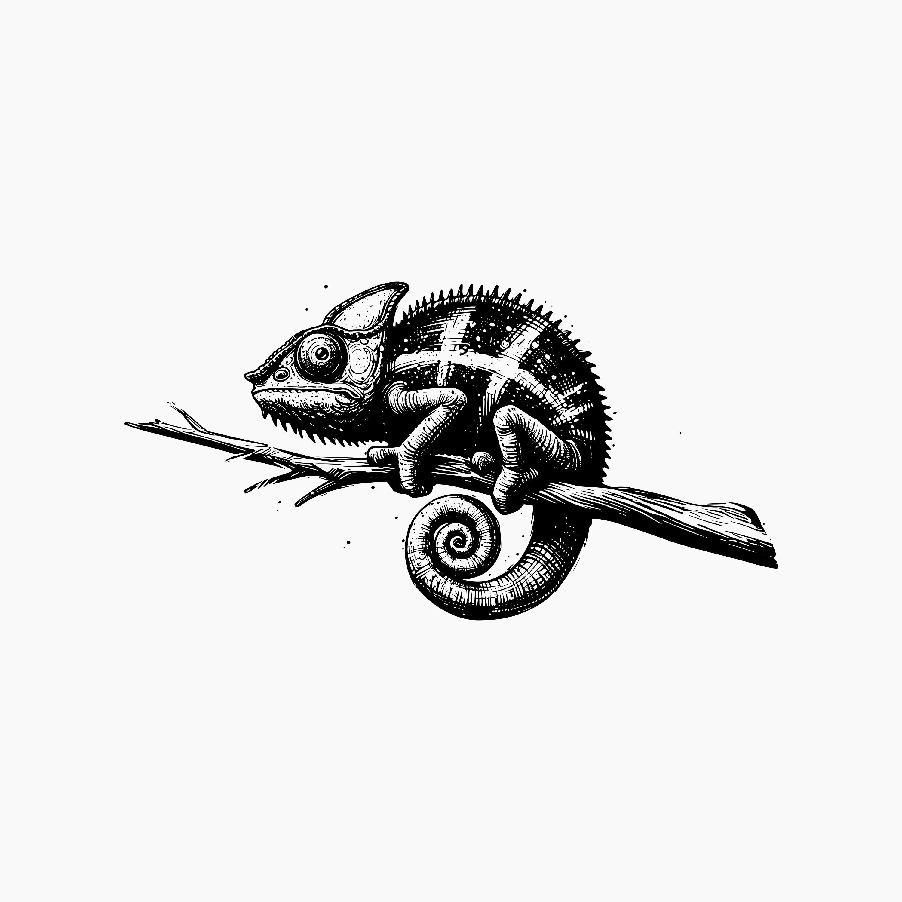 Chameleon Sketch Style. Svg Png Eps Dxf Cut Files. - Etsy