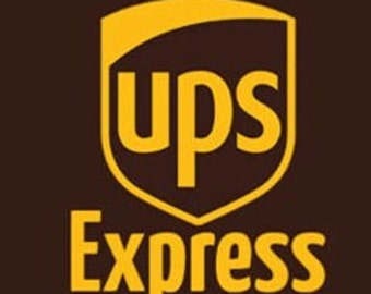 Delivery UPS Express Shipping