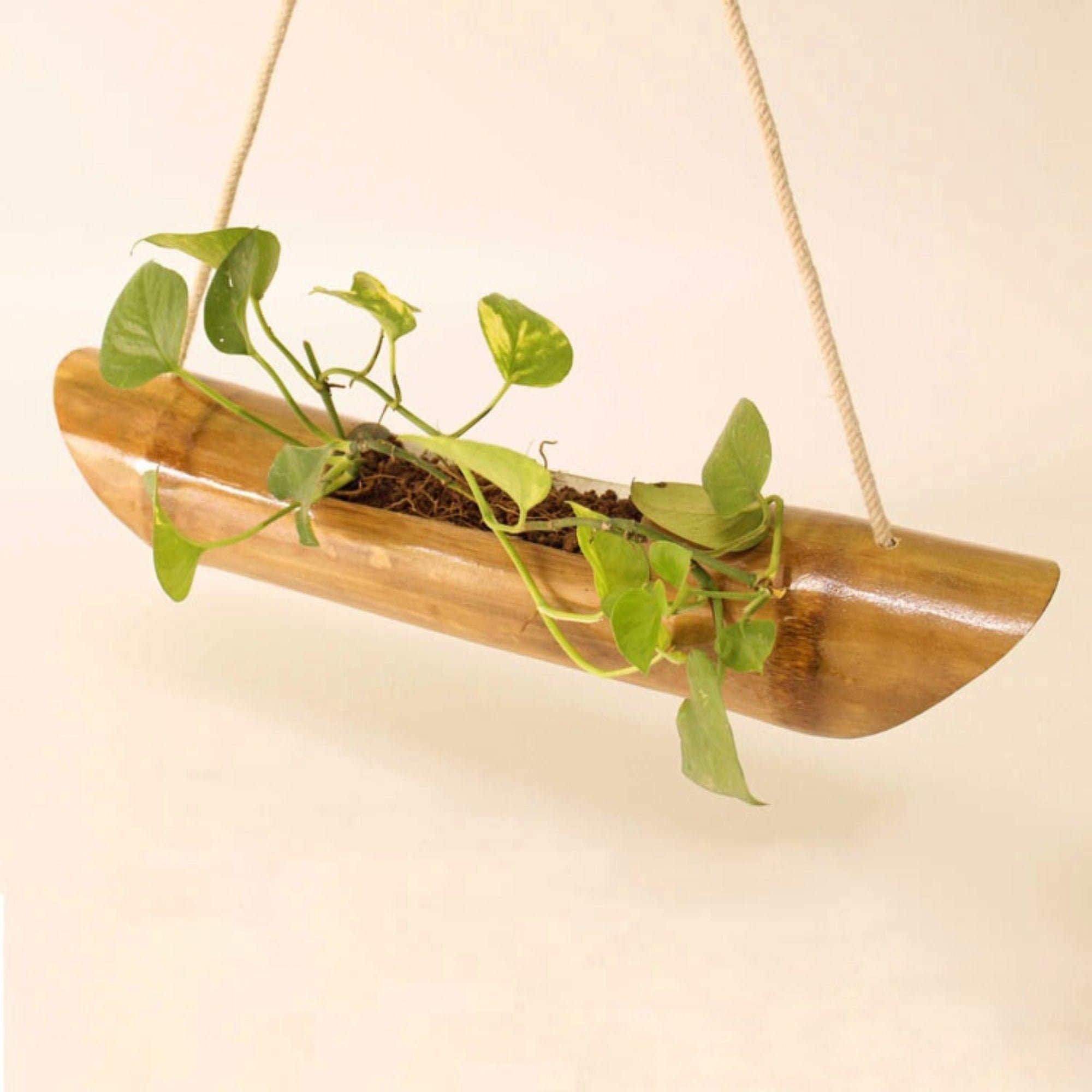 Bambus Hängender Überhänger Überpflanzung Haus und Garten Etsy