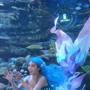 Mermaid Lucia Mystic Siren Series Doria Fish Tail