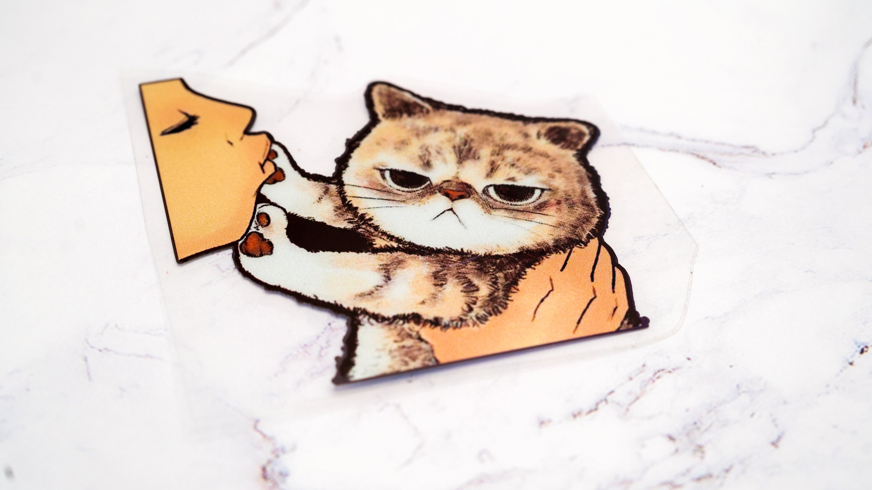 Cute Disgusted Cat Sticker Peeker - Etsy