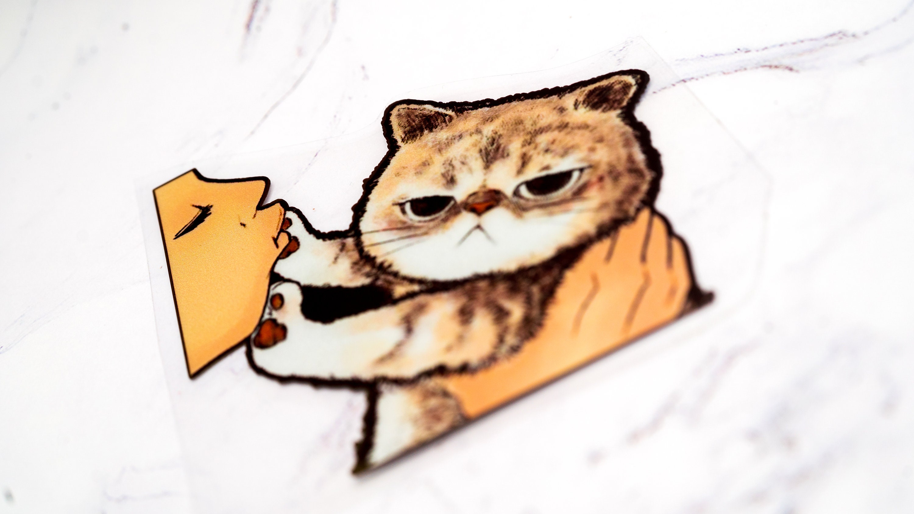Cute Disgusted Cat Sticker Peeker - Etsy