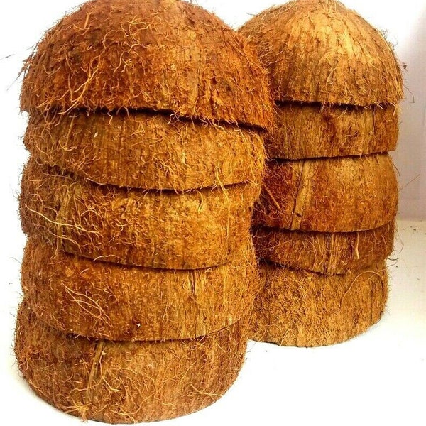 Coconut Shell halves with fiber natural charcoal obtaining Ceylon