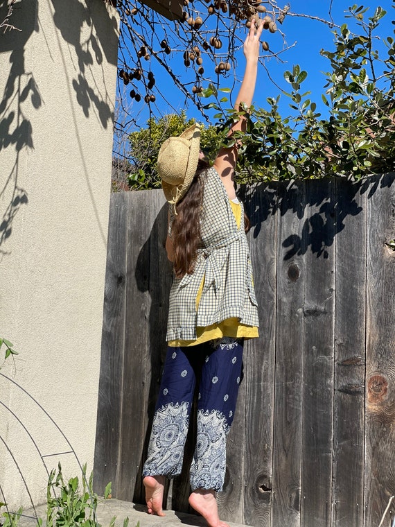 Marigold Magic - image 9