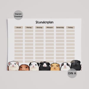 Könnte beinhalten: Ein druckbarer Stundenplan mit dem Titel "Stundenplan" und den Worten "Digitaler Download" in einem Kreis. Der Stundenplan hat ein Raster für jeden Wochentag und eine Reihe von Meerschweinchen-Illustrationen am unteren Rand.