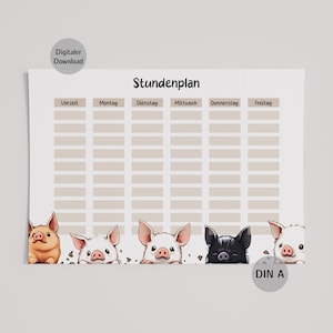 May include: A printable school schedule with the German word "Stundenplan" at the top. The schedule has a grid for the days of the week and times. The bottom of the schedule features illustrations of five different colored pigs.