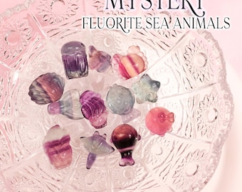 Mystery Mini Fluorite Sea Animal Carving: Crystal Surprise Blind Box