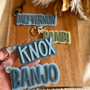 May include: Four personalised keychains with the names "Daly-Vernon", "Dambi", "Knox", and "Banjo" in a blue, green, and grey colour scheme. The keychains are made of silicone and have a 3D effect.