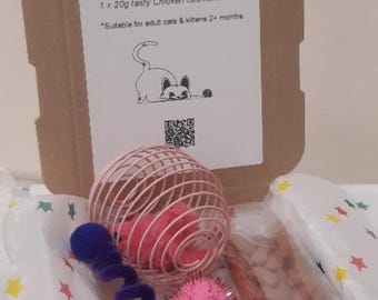 Purrrfect Playtime Set - Cat Spring Toy & Tasty Treats.