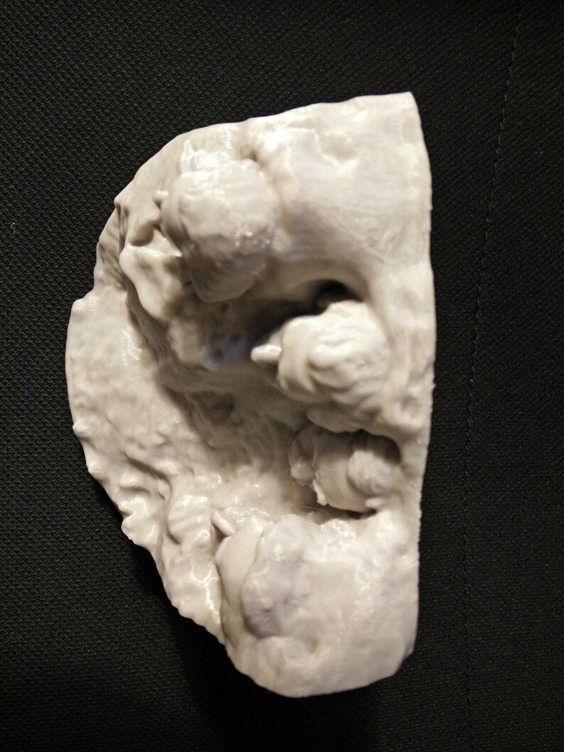 Pu&ograve; includere: Un modello 3D stampato in bianco di una formazione rocciosa con una superficie testurizzata.