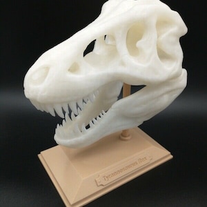 T-Rex Tyrannosaurus Rex Skull 3D Printed Sculpture Statue 6 in - Pick Color