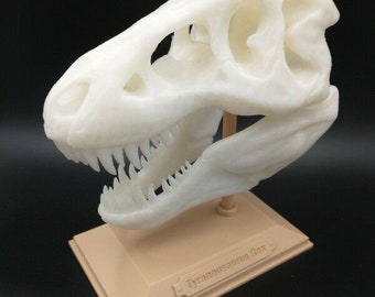 T-Rex Tyrannosaurus Rex Skull Estatua de escultura impresa en 3D de 6 pulgadas - Color a elegir