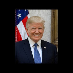 President Donald Trump Official White House Portrait American Flag Photo Print