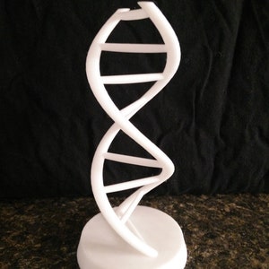 DNA Double Helix Molecule 3D Printed Model Sculpture Molecule Science Medical Biology - Pick Size, Color