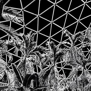 Palm Trees in a Geodesic Dome Tree Alien Outline Photo Poster Print