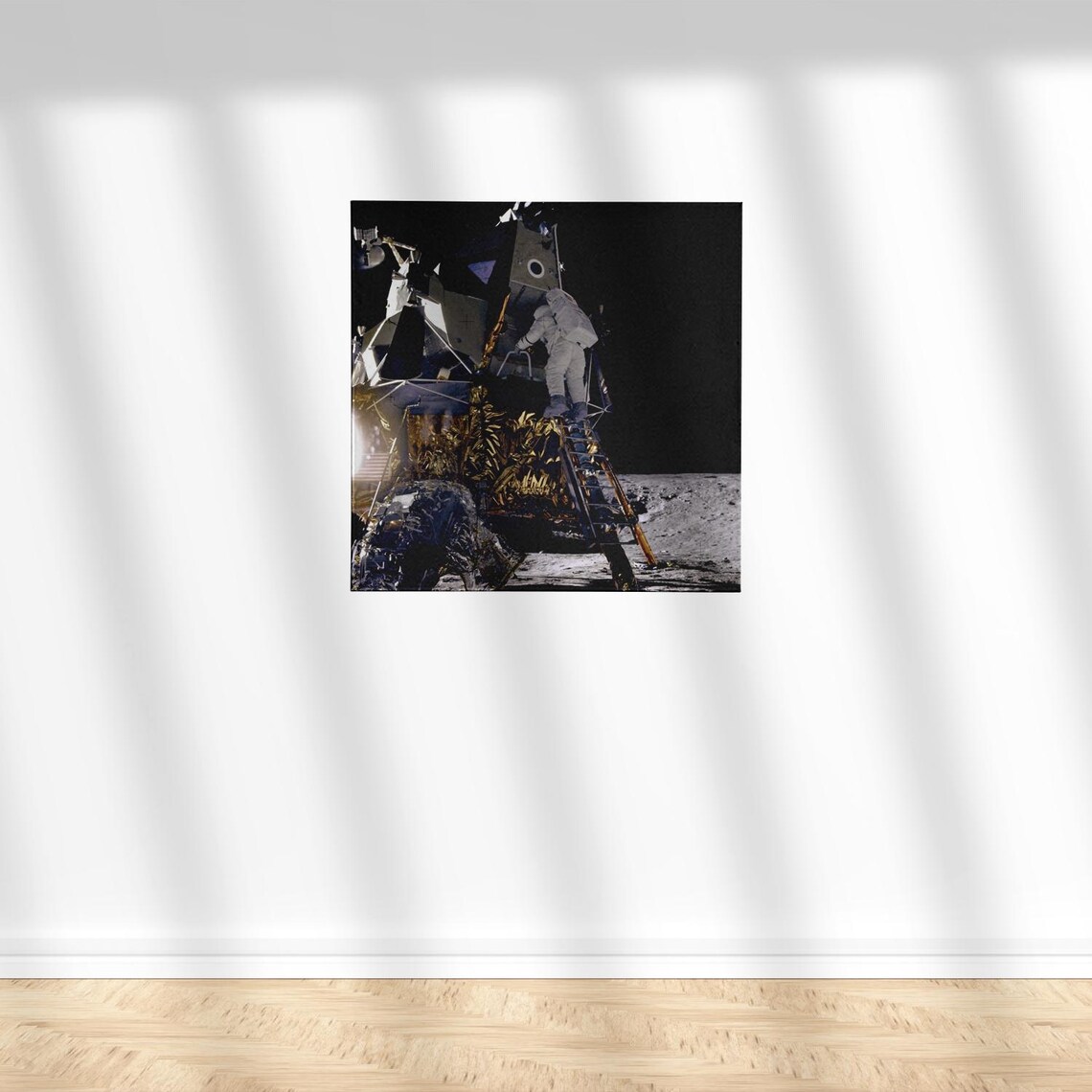 Apollo 12 Alan Bean Lunar Module Intrepid Moon Photo Poster Art Print ...