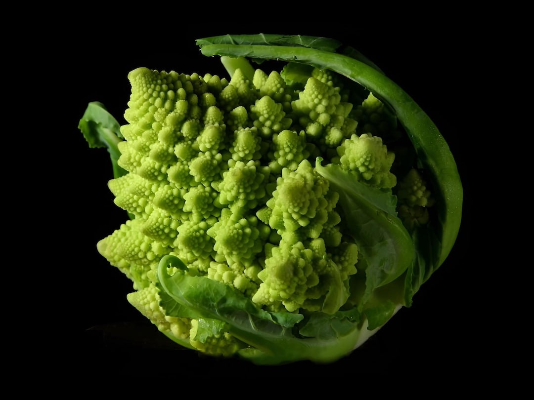 Romanesco Broccoli Fractal Pattern Plant Green Vegetable Photo Poster ...