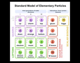 Plakat z diagramem bozonu fermionowego modelu standardowego cząstek elementarnych