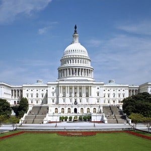 以下が含まれることがあります： アメリカ合衆国議会議事堂として知られる、大きなドームを持つ白い建物が、木々と遊歩道のある芝生の上に建っています。