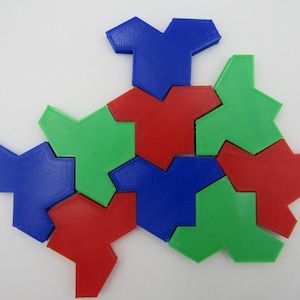 Einstein Tiles Tile Set Aperiodic Monotile Tiling Shape Math Geometry 9 PCS