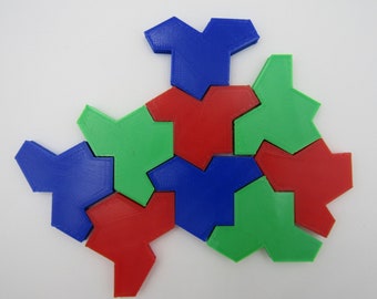 Einstein Tiles Tile Set Aperiodic Monotile Tiling Shape Math Geometry 9 PCS
