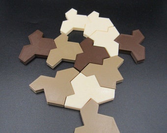 Einstein Tiles Tile Set Aperiodic Monotile Tiling Shape Math Geometry 12 PCS