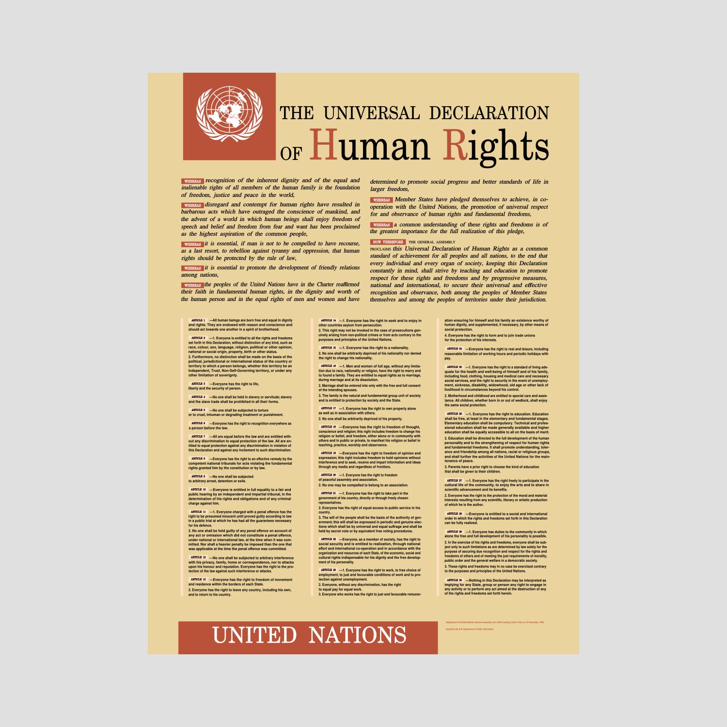 United Nations Universal Declaration Human Rights Poster - Etsy