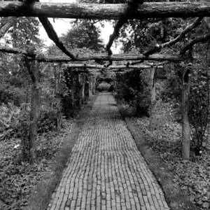Brick Path in a Rose Garden Arbor Long Island NY Photo Poster Print 18 x 24 B&W